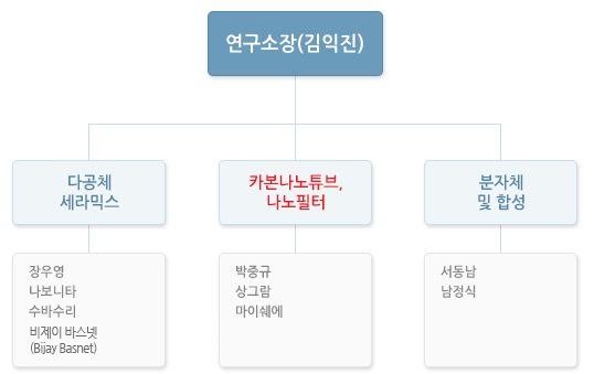 조직